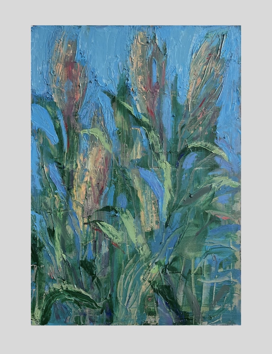 Trske IV, 70 x 50 cm, Carolina barbarić