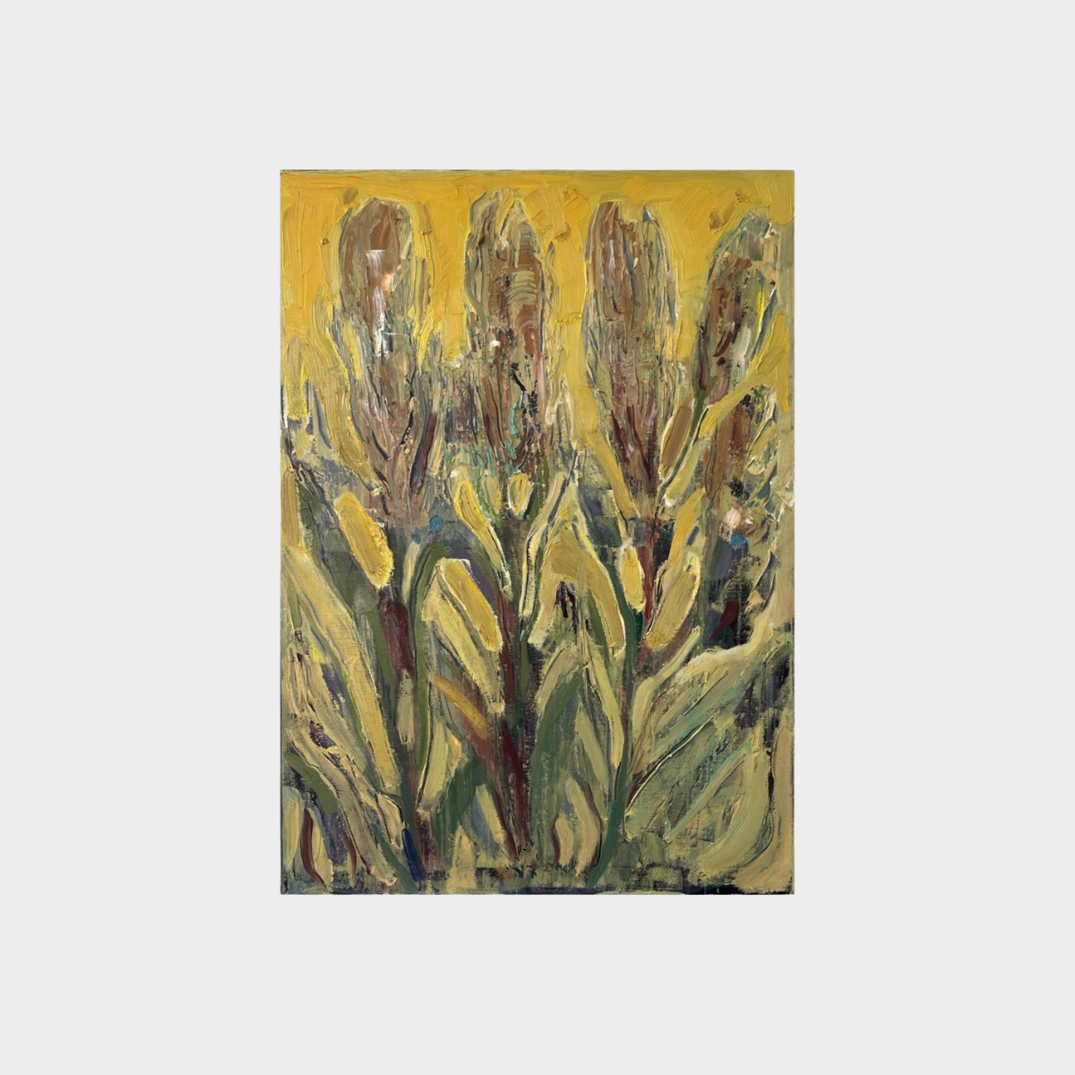 Reeds I, 70 x 50 cm, Carolina Barbarić