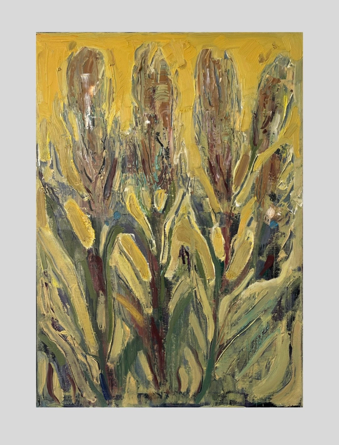 Trske I, 70 x 50 cm, Carolina Barbarić